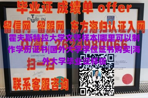 霍夫斯特拉大学文凭样本|哪里可以制作学历证书|国外大学学位证书购买|海外大学毕业证样板