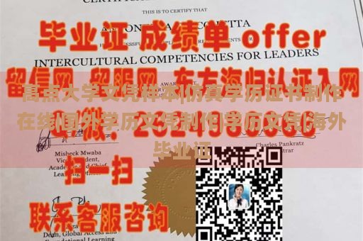 定制阿肯色大学费耶特维尔分校文凭|仿真学历证书制作在线|法国学历证书样本|海外大学毕业证图片模版